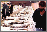 Bosnian Dead