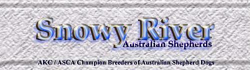 Snowy River Logo graphic (c)2000Snowy River Australian Shepherds