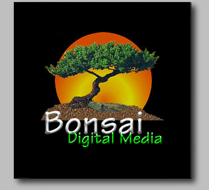 Bonsai Digital Media Logo Design by Chris Duffecy